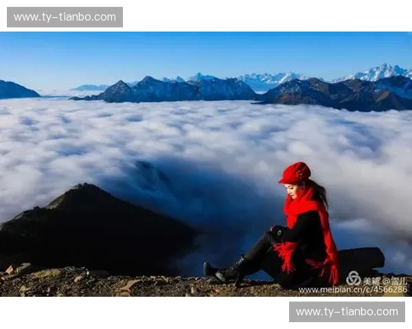 卡迪夫vs诺丁汉：英伦双城记，谁是你的心之所向？